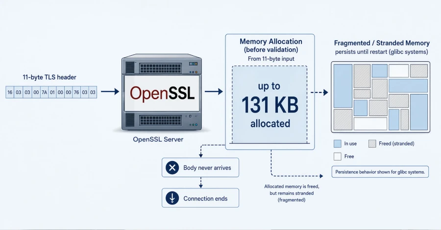 HollowByte: ۱۱ بایت که می‌تواند سرور شما را از کار بیندازد؛ آسیب‌پذیری جدید OpenSSL فاش شد