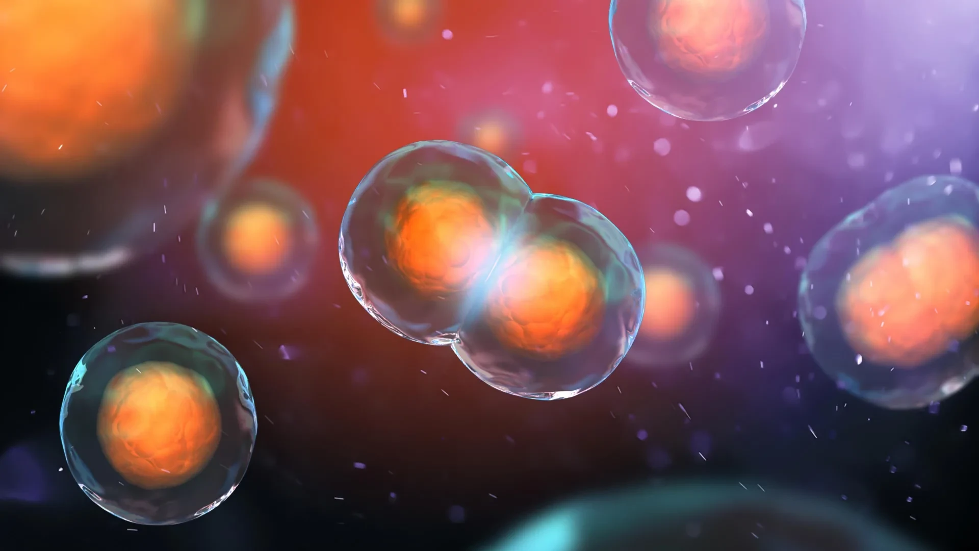 راز بقای سلولهای با DNA دوبرابر: کلید تازهای برای درمان سرطان