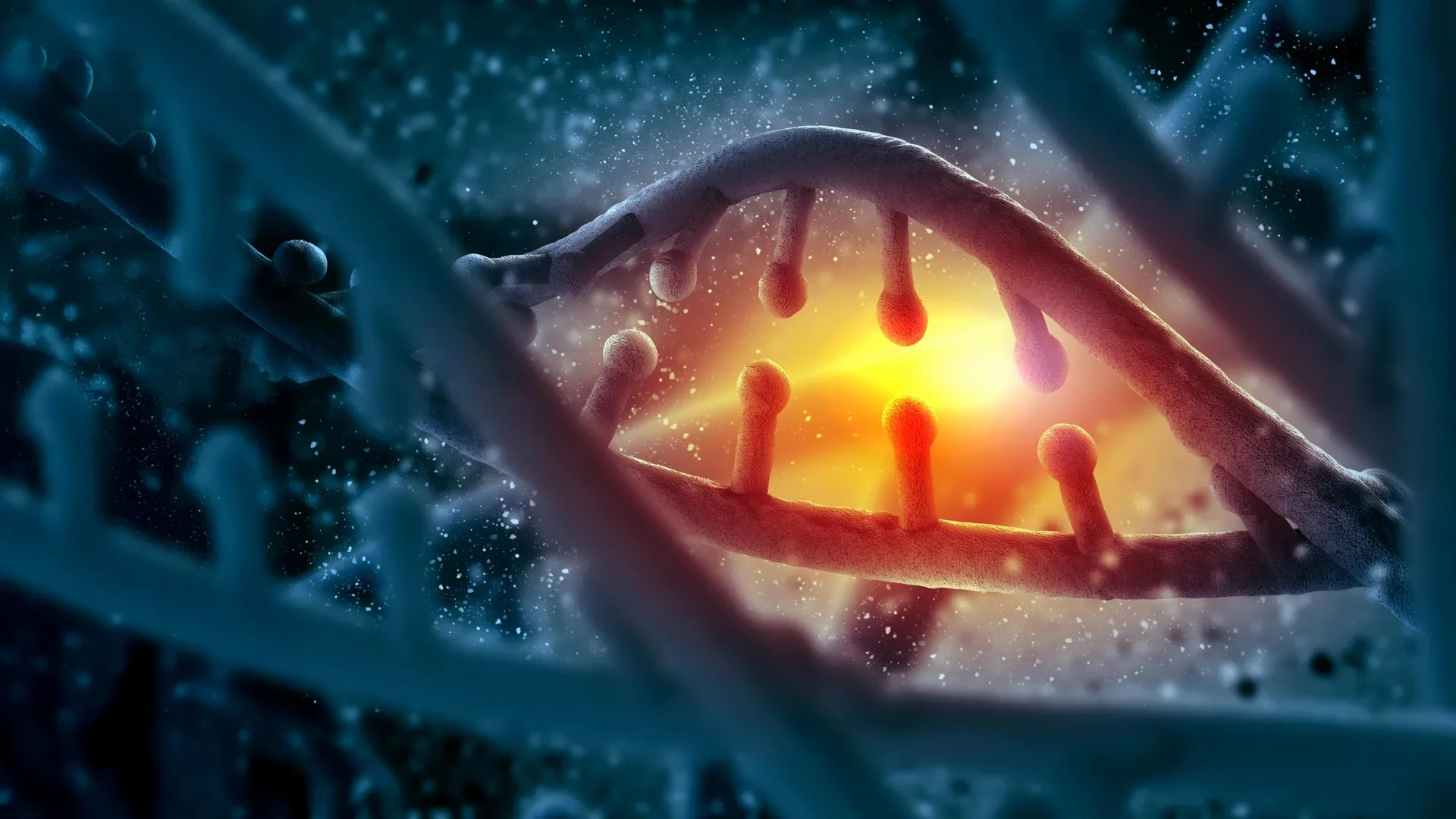 ابرژنهای DNA در سیکلیدهای دریاچه مالاوی که شتابدهنده تکاملاند