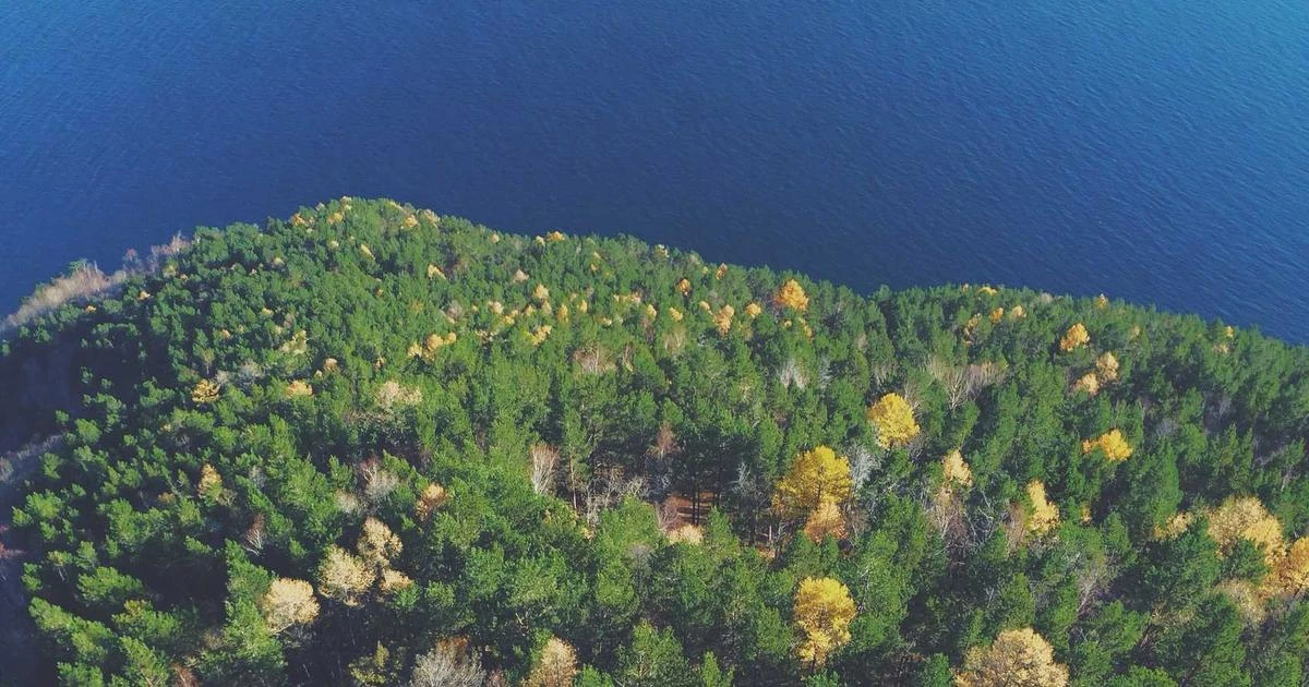 هولو اولین تصویر رسمی فصل سوم Paradise را منتشر کرد؛ بازگشت جیمز مارسدن؟