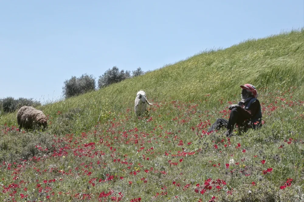 Odd Slice حقوق پخش جهانی مستند «Concrete Land» از اسمهان بکرات را پیش از لوکارنو خرید