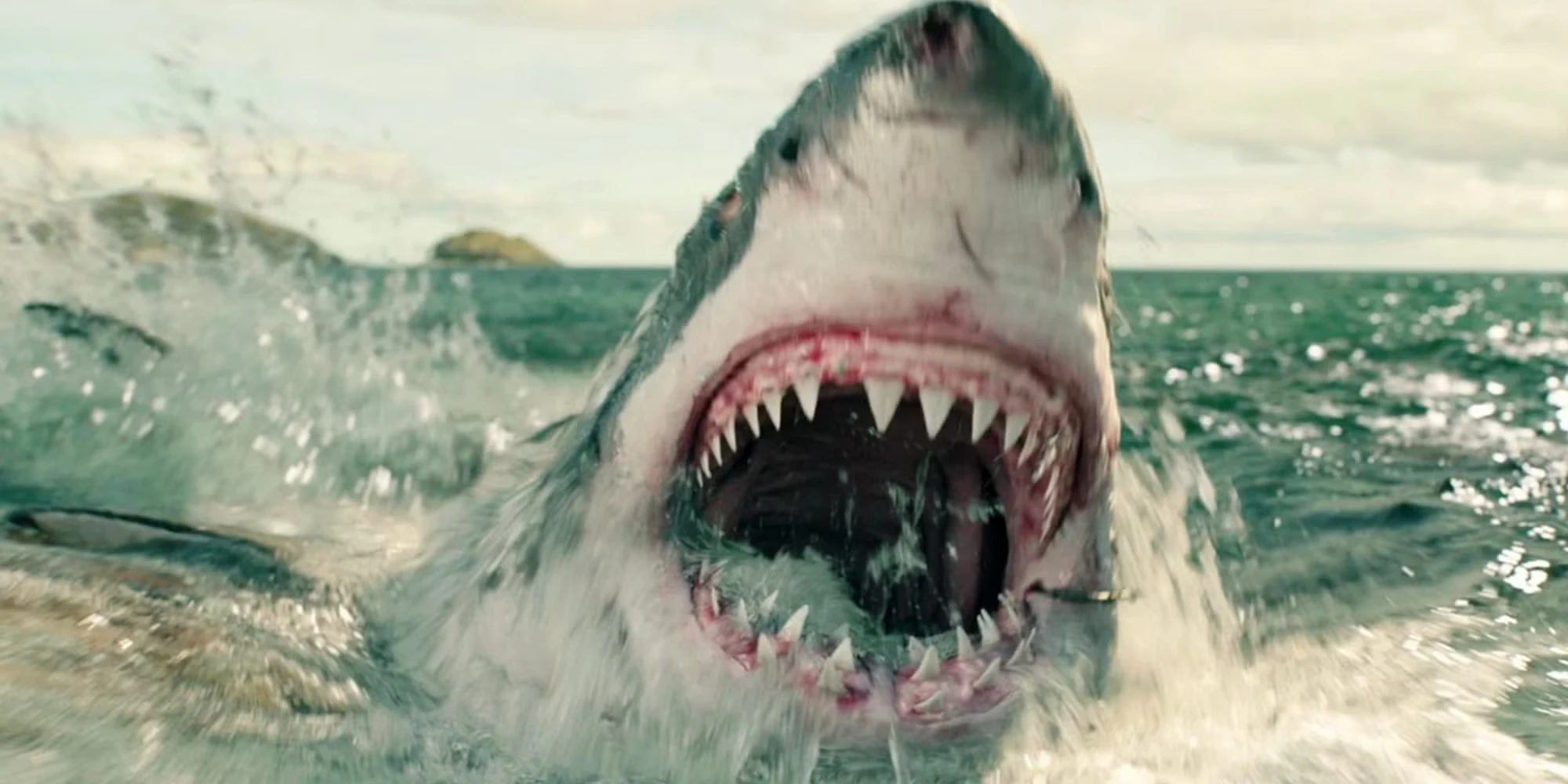 نتفلیکس فیلم The Shallows را کنار «آرواره‌ها» گذاشت