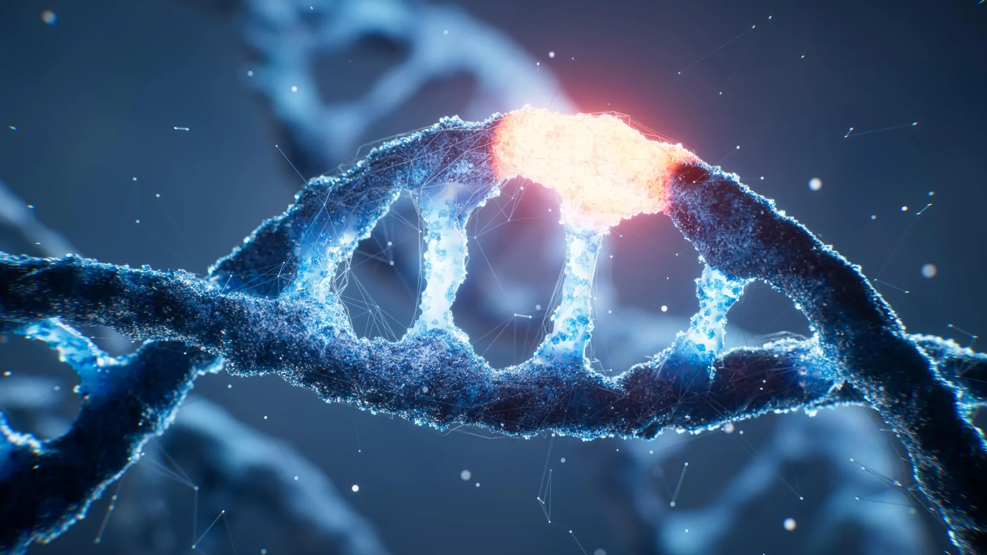 الفبای ژنتیکی 8حرفی؛ RNA پلیمراز باکتریایی آن را خواند و رونویسی کرد