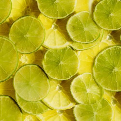 شرکت‌کنندگان در مهمانی و داغداغی لوگوی LemonLime