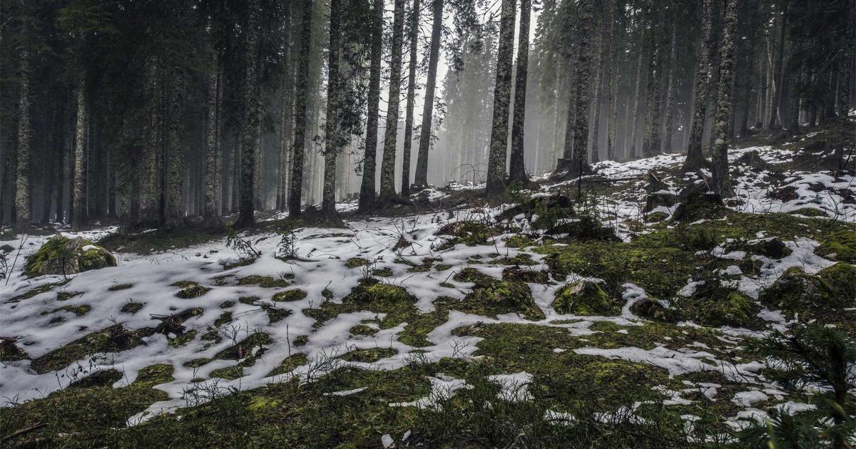 تصویر مرتبط با EleutherAI و مدل‌های زبانی متن‌باز