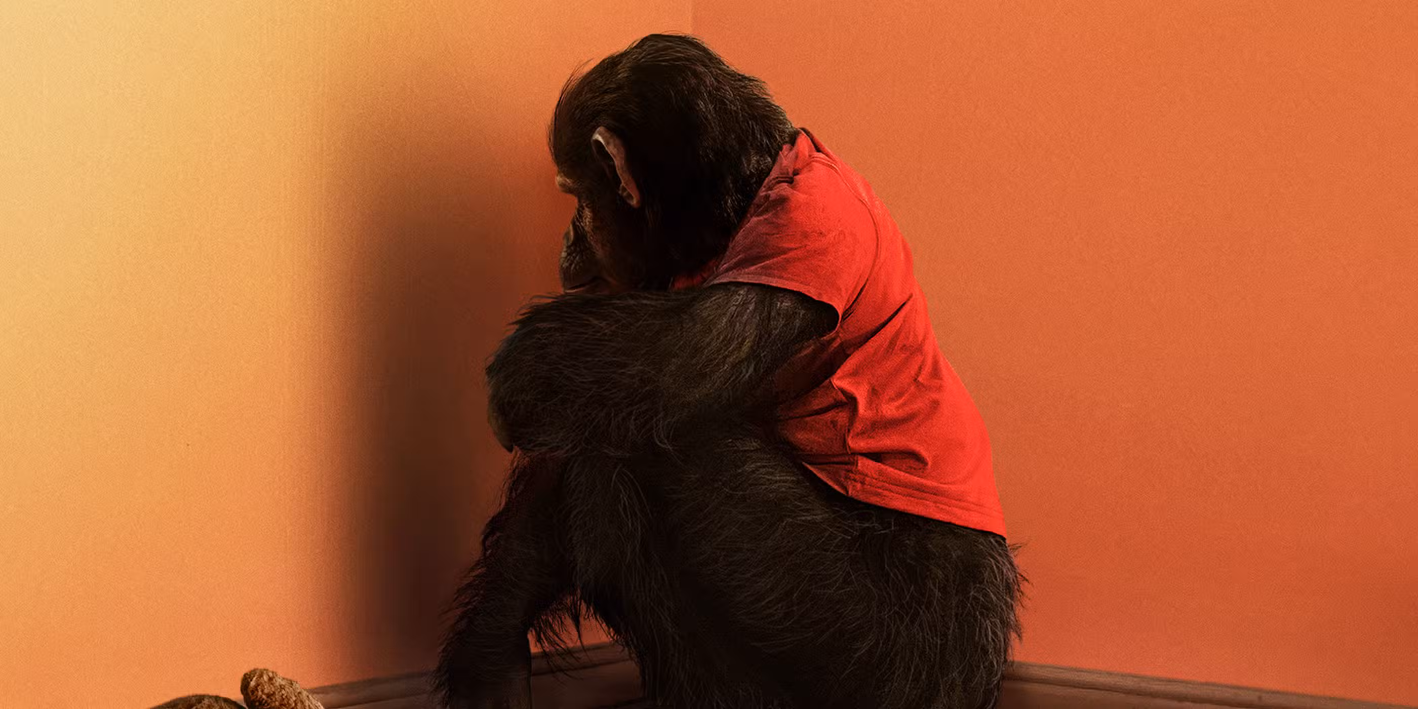 صحنه‌ای از تعقیب و گریز در Primate