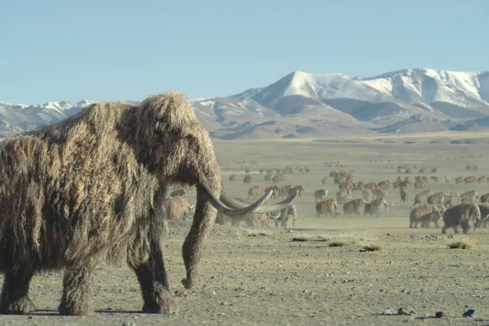 ضبط موسیقی متن Prehistoric Planet: Ice Age توسط زیمر و همکاران